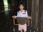 Sotijeva hči ne pozna strahu pred čebelami