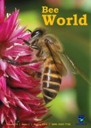 Kamboška čebela krasila naslovnico revije BEE WORLD