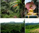 Obisk province Pailin